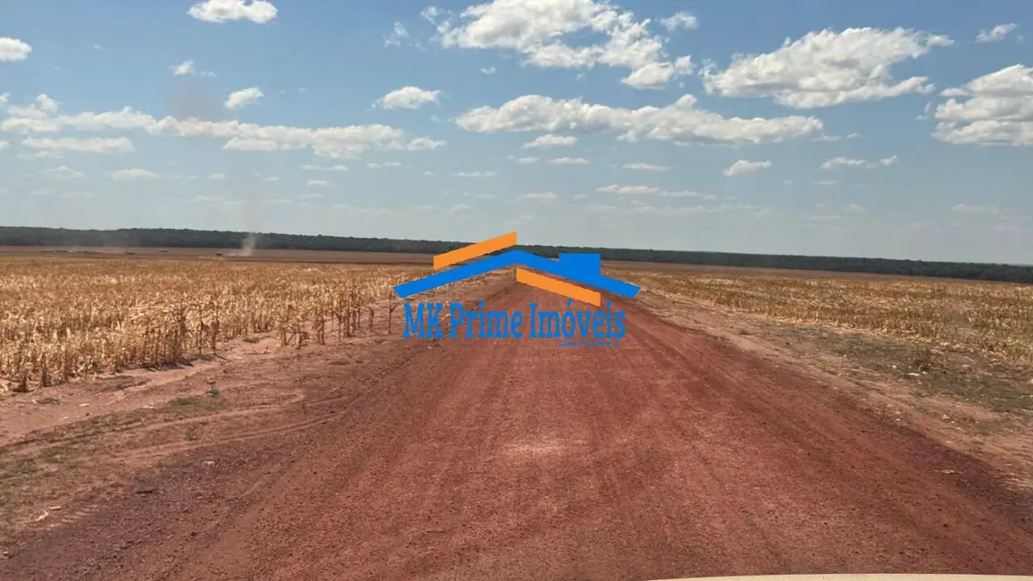 Fazenda / Haras à venda e para alugar, 1000m2 em Setor Comercial, Sinop - MT - imagem 5 Foto 5 de Fazenda / Haras à venda e para alugar, 1000m2 em Setor Comercial, Sinop - MT