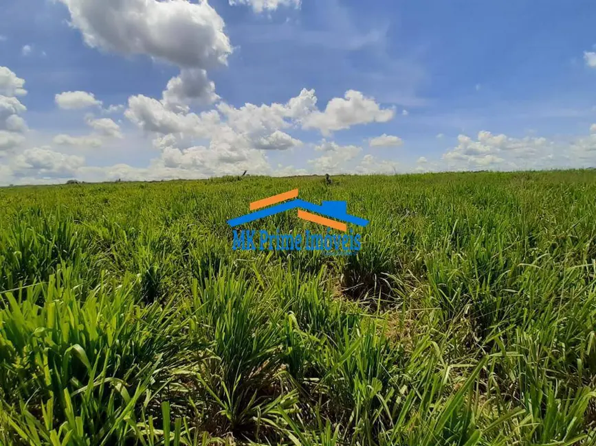 Foto 8 de Fazenda / Haras à venda, 1000m2 em Alta Floresta - MT