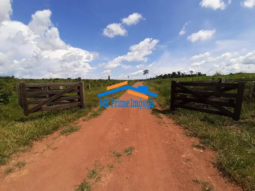 Foto 6 de Fazenda / Haras à venda, 1000m2 em Alta Floresta - MT