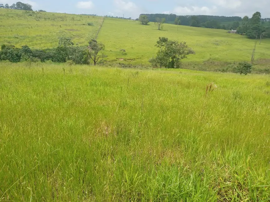Foto 1 de Sítio / Rancho à venda em Sao Pedro - SP