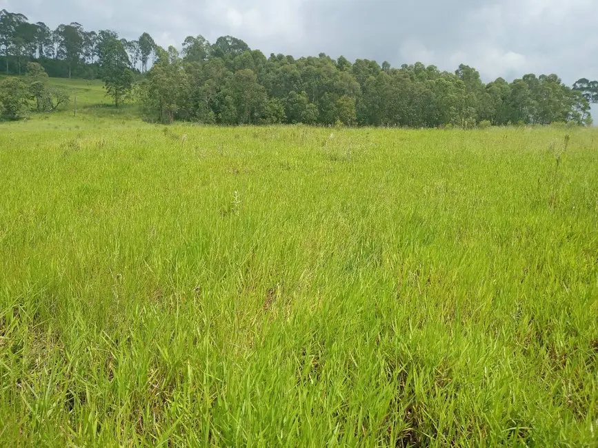 Foto 3 de Sítio / Rancho à venda em Sao Pedro - SP