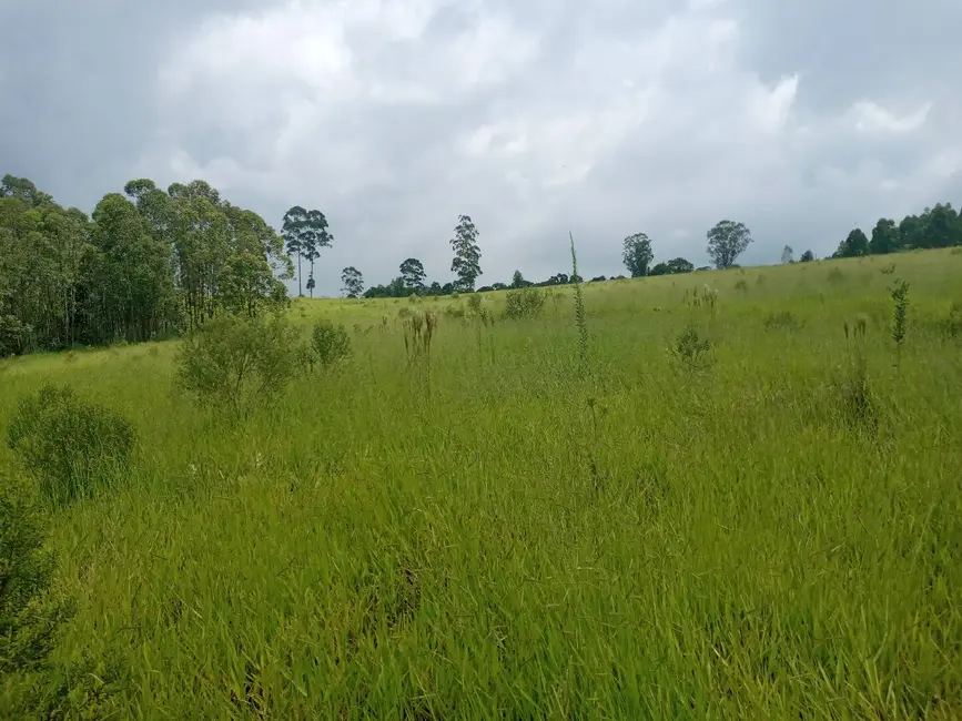 Foto 4 de Sítio / Rancho à venda em Sao Pedro - SP