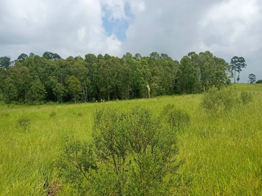 Foto 5 de Sítio / Rancho à venda em Sao Pedro - SP