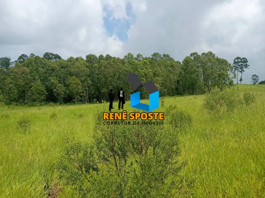 Foto 5 de Sítio / Rancho à venda em Sao Pedro - SP