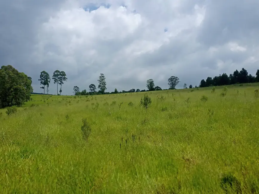 Foto 7 de Sítio / Rancho à venda em Sao Pedro - SP
