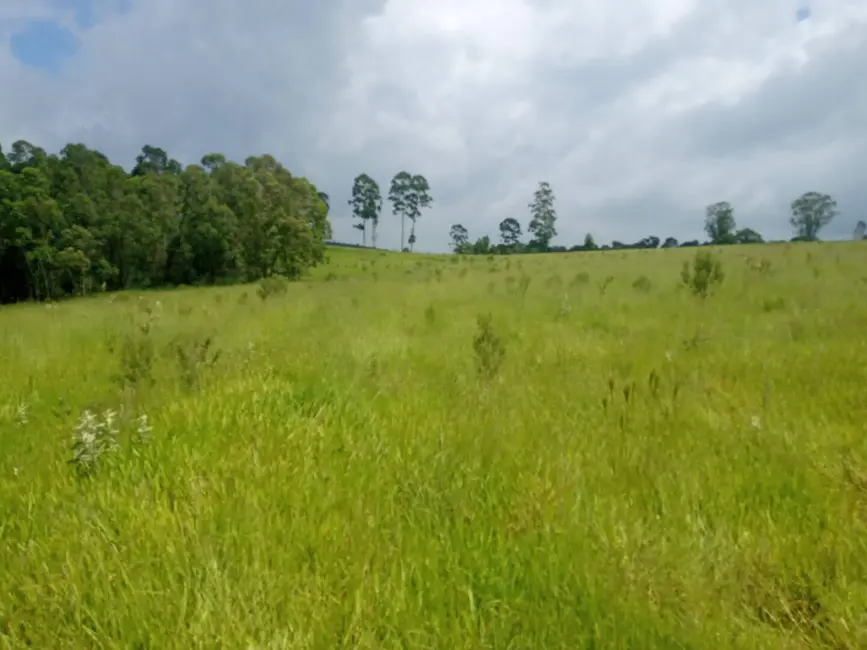 Foto 2 de Sítio / Rancho à venda em Sao Pedro - SP