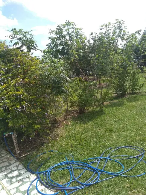 Foto 8 de Chácara com 3 quartos à venda, 1000m2 em Sao Pedro - SP