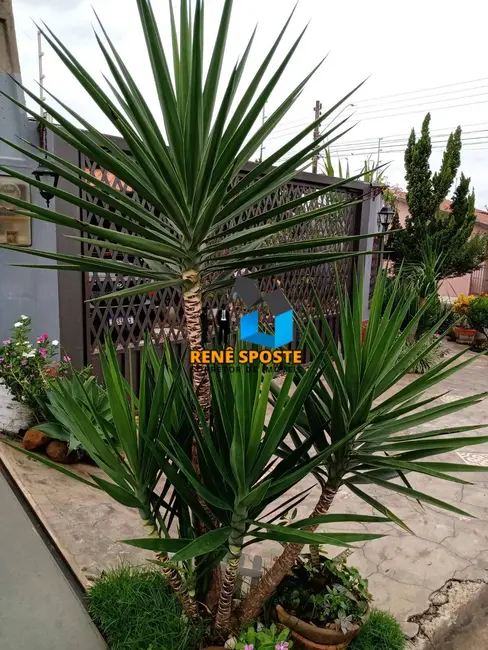 Foto 9 de Casa com 3 quartos à venda, 307m2 em Sao Pedro - SP