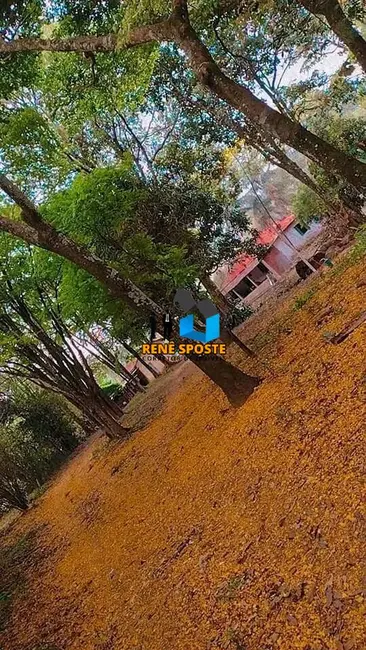 Foto 8 de Sítio / Rancho com 6 quartos à venda, 22000m2 em Sao Pedro - SP