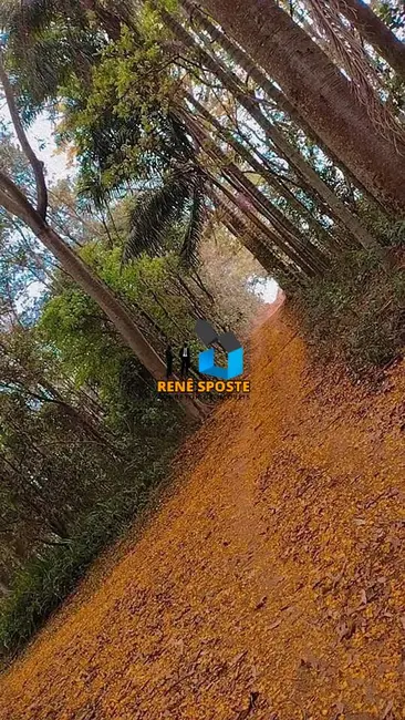 Foto 4 de Sítio / Rancho com 6 quartos à venda, 22000m2 em Sao Pedro - SP