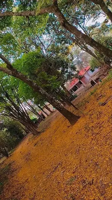Foto 8 de Sítio / Rancho com 6 quartos à venda, 22000m2 em Sao Pedro - SP