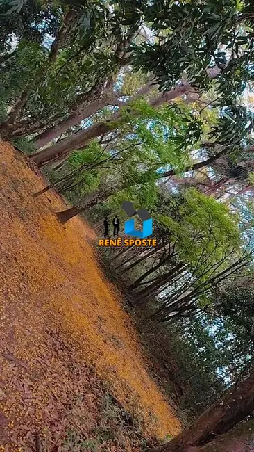 Foto 7 de Sítio / Rancho com 6 quartos à venda, 22000m2 em Sao Pedro - SP