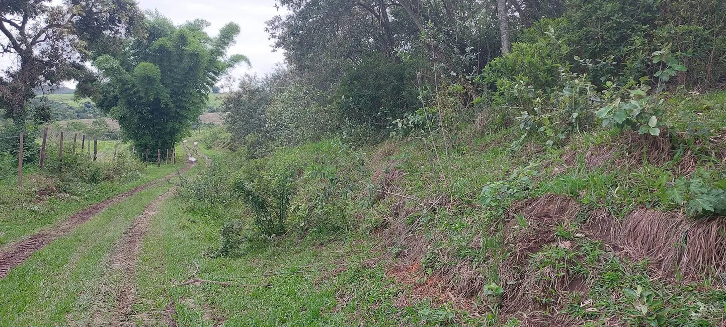 Foto 5 de Sítio / Rancho à venda, 50000m2 em Sao Pedro - SP