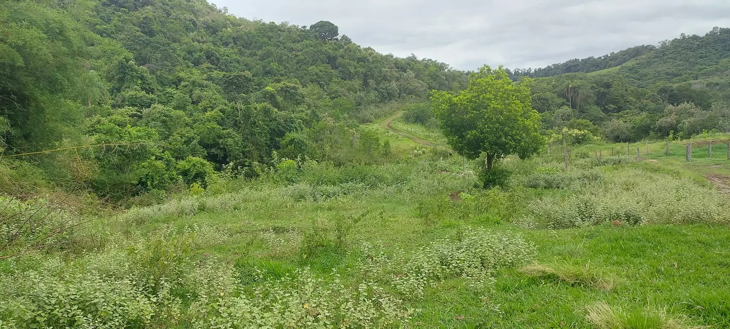 Foto 7 de Sítio / Rancho à venda, 50000m2 em Sao Pedro - SP