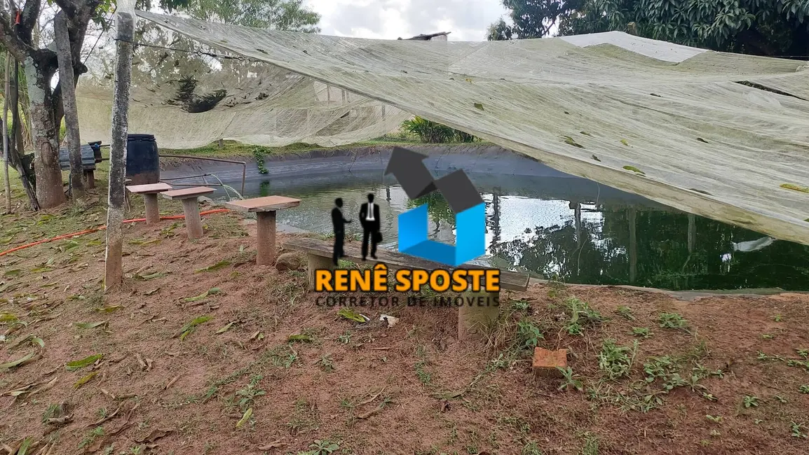 Foto 3 de Chácara com 3 quartos à venda, 5000m2 em Sao Pedro - SP