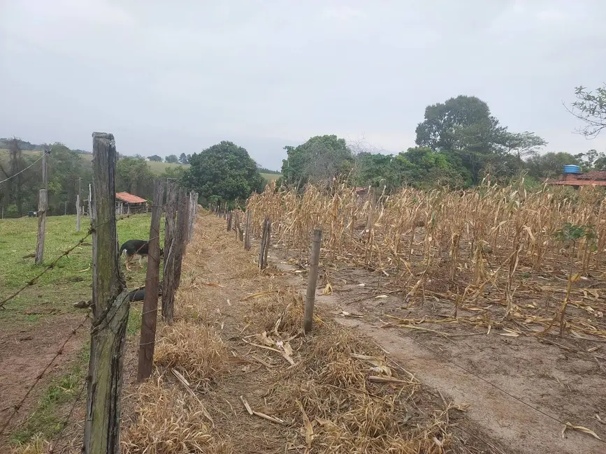 Foto 2 de Terreno / Lote à venda, 7208m2 em Sao Pedro - SP