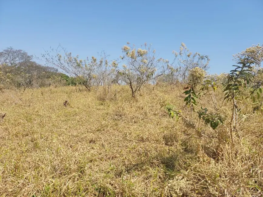 Foto 3 de Terreno / Lote à venda, 5000m2 em Sao Pedro - SP
