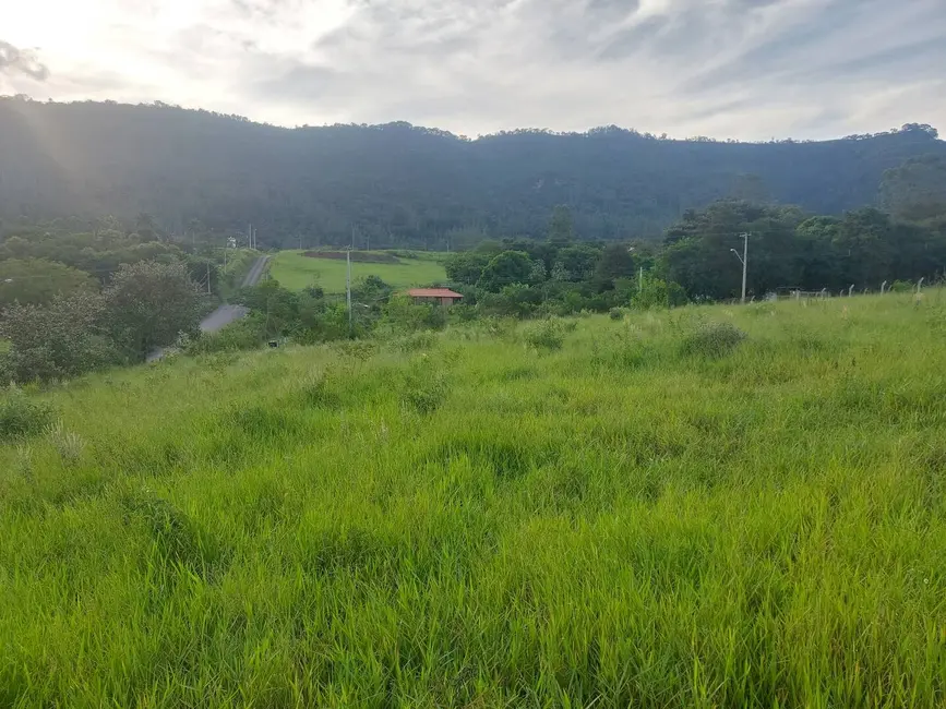 Foto 4 de Terreno / Lote à venda, 5000m2 em Sao Pedro - SP