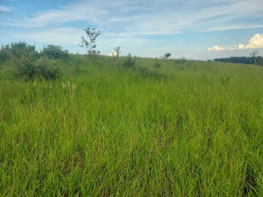 Foto 2 de Terreno / Lote à venda, 5000m2 em Sao Pedro - SP