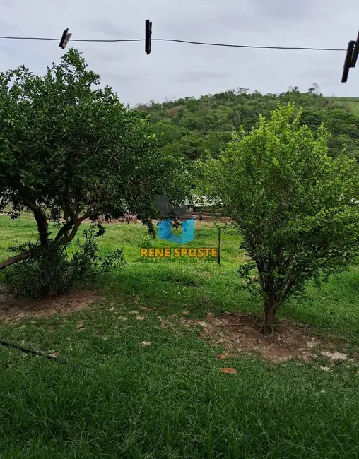 Foto 7 de Sítio / Rancho com 2 quartos à venda, 5652m2 em Sao Pedro - SP