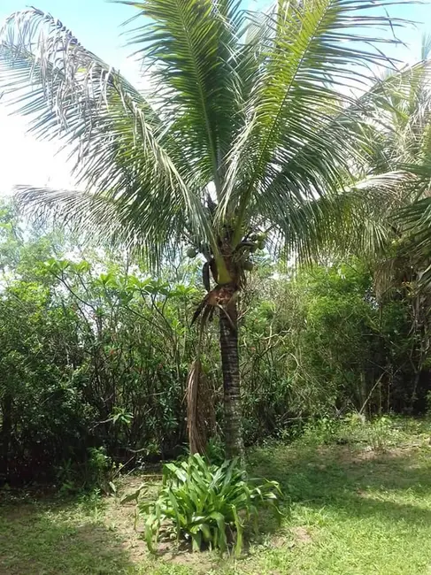 Foto 4 de Chácara com 5 quartos à venda, 5685m2 em Sao Pedro - SP