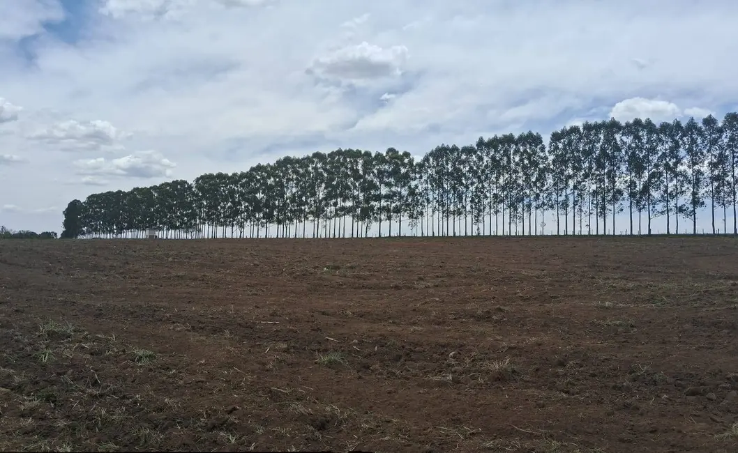 Foto 2 de Sítio / Rancho à venda, 44000m2 em Sao Pedro - SP