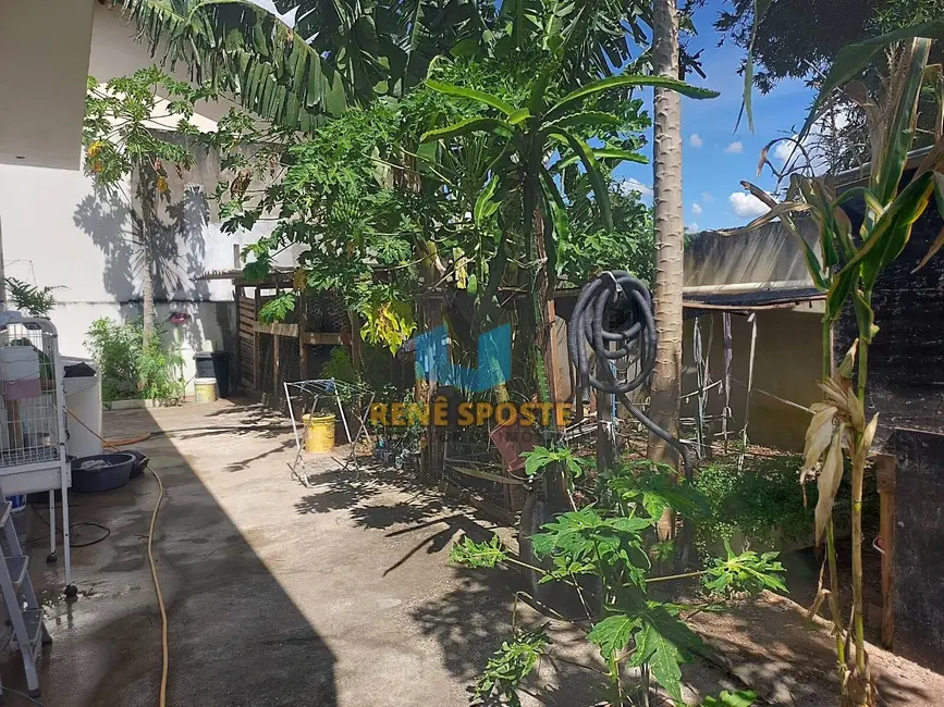 Foto 8 de Casa com 3 quartos à venda, 302m2 em Sao Pedro - SP