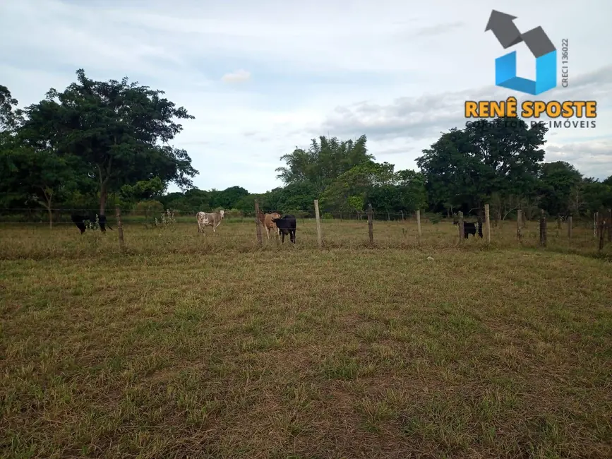 Foto 1 de Terreno / Lote à venda e para alugar, 12800m2 em Sao Pedro - SP