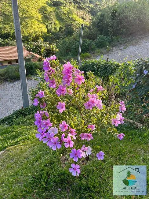 Foto 9 de Casa com 3 quartos à venda, 430m2 em São Pedro da Serra, Nova Friburgo - RJ