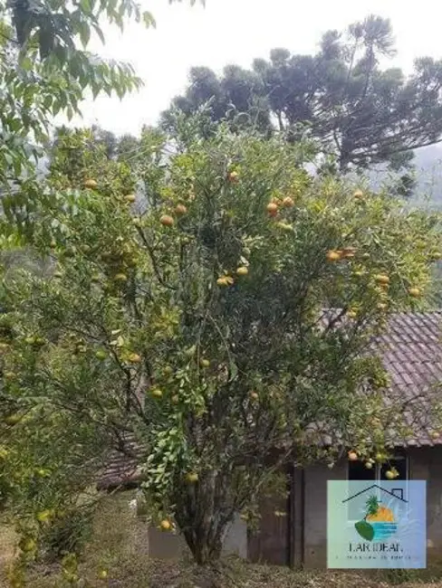 Casa com 2 quartos à venda, 2786m2 em Lumiar, Nova Friburgo - RJ - imagem 6 Foto 6 de Casa com 2 quartos à venda, 2786m2 em Lumiar, Nova Friburgo - RJ