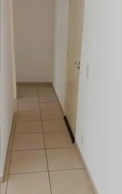 Foto 8 de Apartamento com 2 quartos para alugar, 60m2 em Sao Jose Do Rio Preto - SP