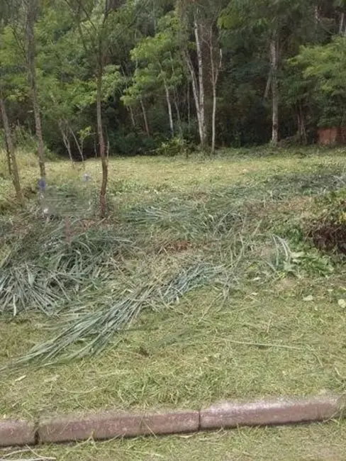 Foto 4 de Terreno / Lote à venda, 455m2 em Praia da Mococa, Caraguatatuba - SP