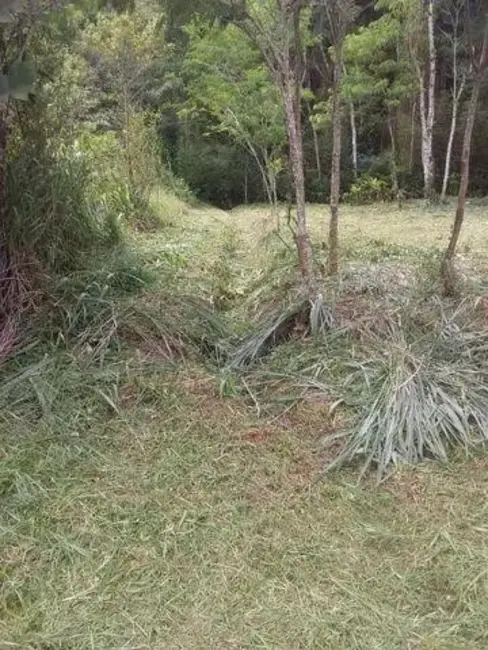 Foto 3 de Terreno / Lote à venda, 455m2 em Praia da Mococa, Caraguatatuba - SP