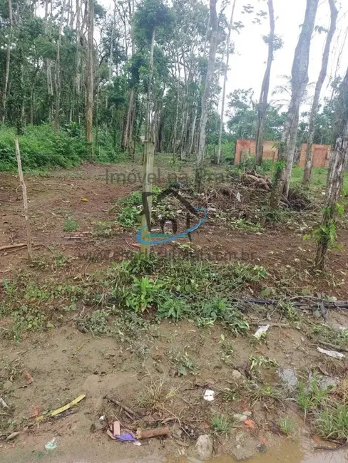 Foto 8 de Terreno / Lote à venda, 1100m2 em Ubatuba - SP