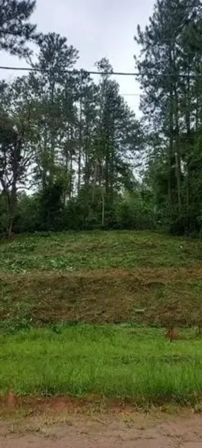 Foto 3 de Terreno / Lote à venda, 489m2 em Capricórnio II, Caraguatatuba - SP