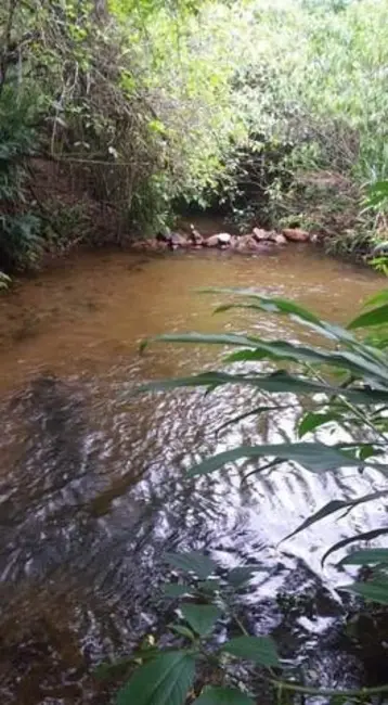 Foto 8 de Terreno / Lote à venda, 402m2 em Massaguaçu, Caraguatatuba - SP
