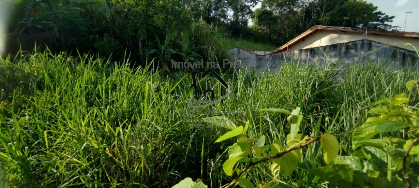 Foto 6 de Terreno / Lote à venda, 337m2 em Massaguaçu, Caraguatatuba - SP