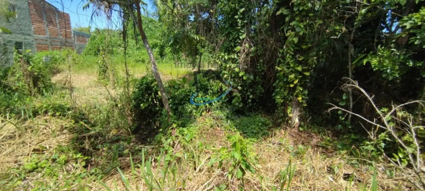 Foto 3 de Terreno / Lote à venda, 490m2 em Jardim das Gaivotas, Caraguatatuba - SP