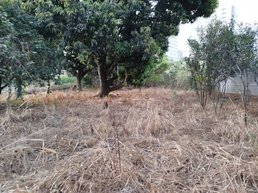 Foto 1 de Fazenda / Haras à venda, 1100m2 em Setor Central, Anapolis - GO