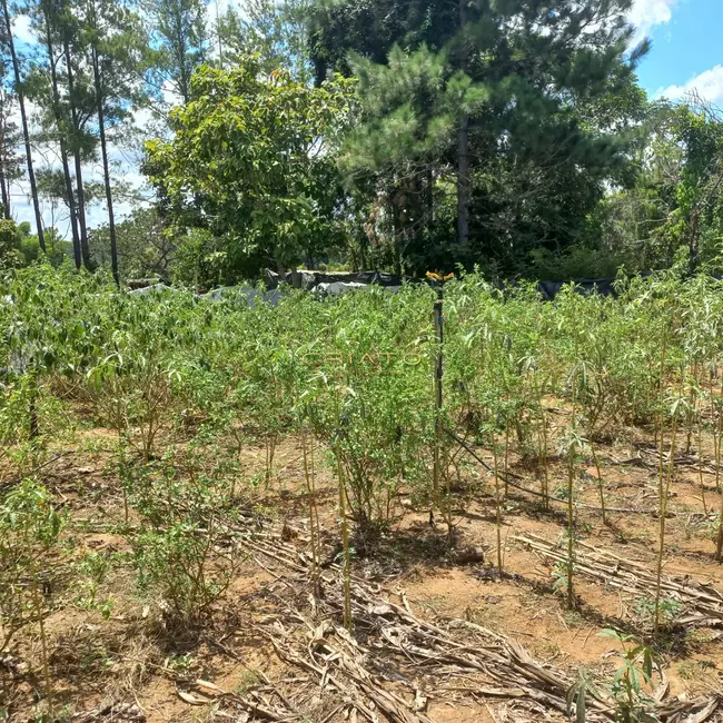 Foto 1 de Terreno / Lote à venda, 500m2 em Caldas Novas - GO