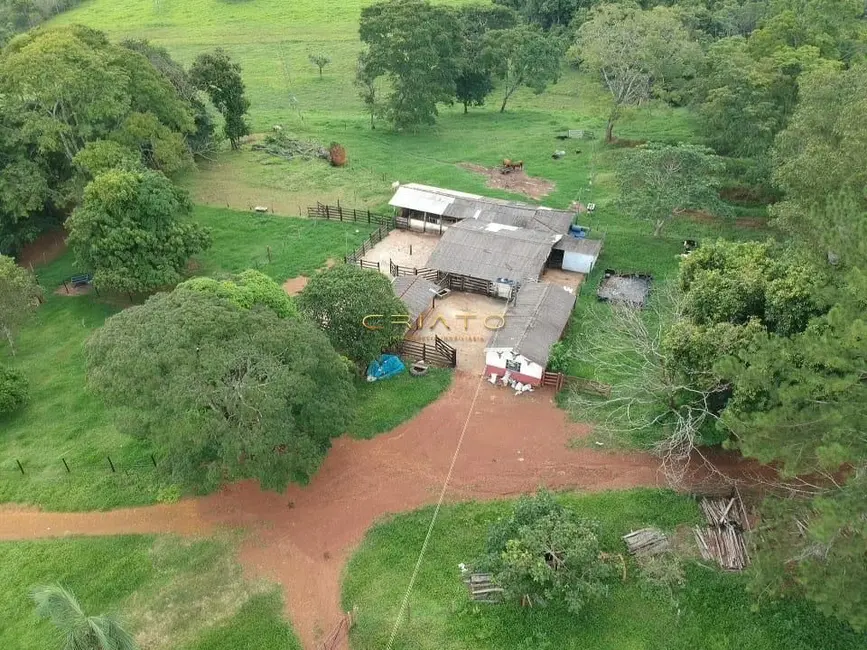 Foto 1 de Fazenda / Haras com 5 quartos à venda, 700000m2 em Área Rural de Anápolis, Anapolis - GO