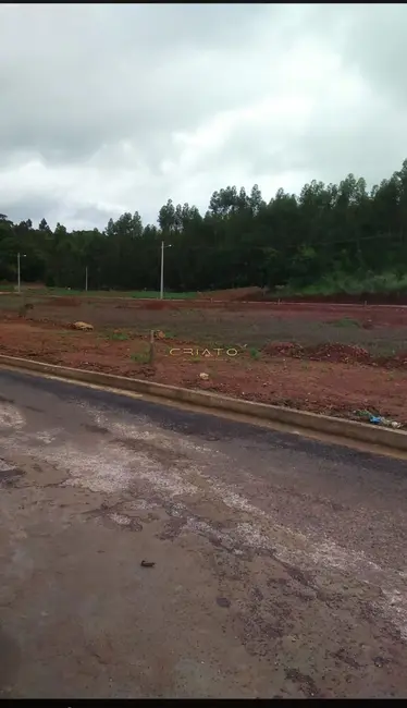 Foto 4 de Terreno / Lote à venda, 200m2 em Petrolina De Goias - GO