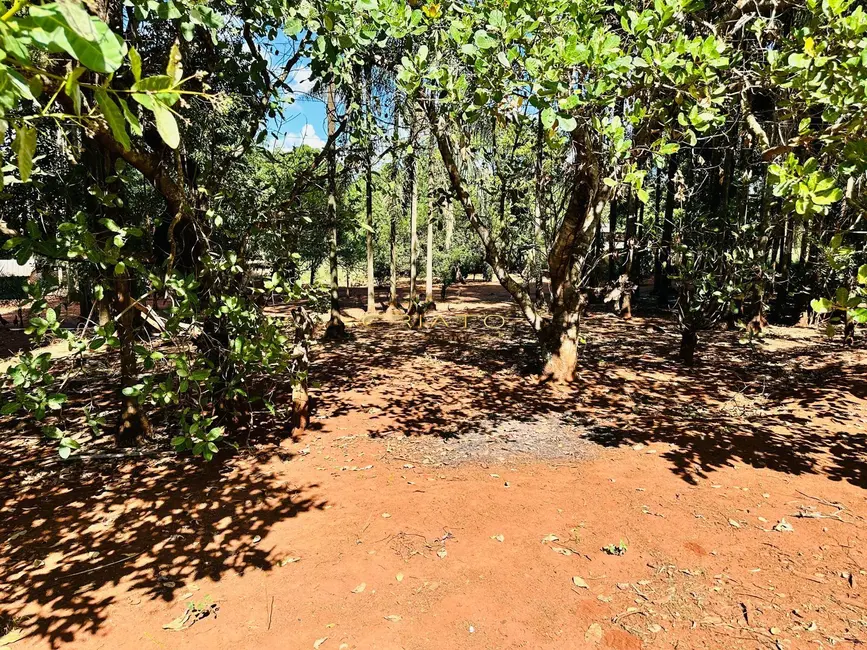 Chácara com 2 quartos à venda, 40000m2 em Área Rural de Rio Verde, Rio Verde - GO - imagem 6 Foto 6 de Chácara com 2 quartos à venda, 40000m2 em Área Rural de Rio Verde, Rio Verde - GO