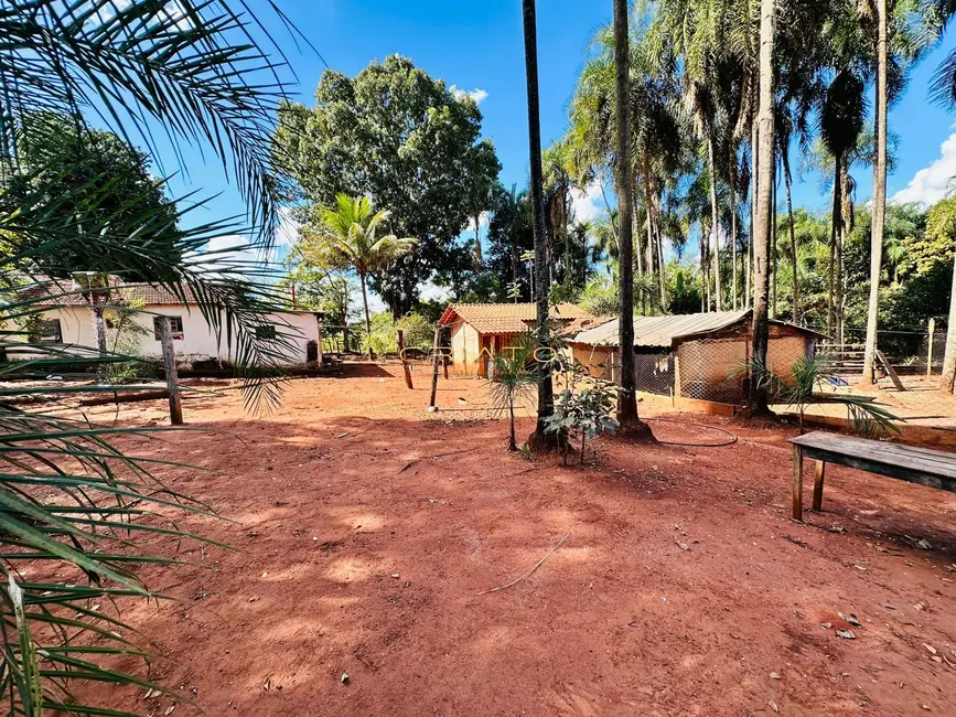 Chácara com 2 quartos à venda, 40000m2 em Área Rural de Rio Verde, Rio Verde - GO - imagem 7 Foto 7 de Chácara com 2 quartos à venda, 40000m2 em Área Rural de Rio Verde, Rio Verde - GO