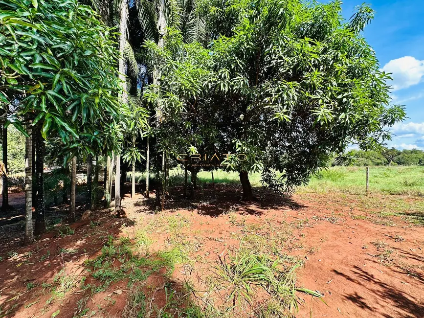Foto 2 de Fazenda / Haras com 2 quartos à venda, 40000m2 em Área Rural de Rio Verde, Rio Verde - GO