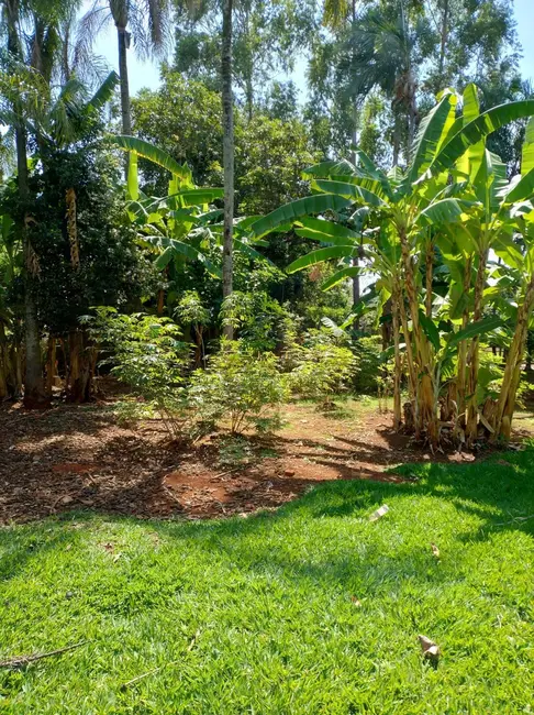 Foto 4 de Chácara com 3 quartos à venda, 4200m2 em Chácaras Americanas, Anapolis - GO