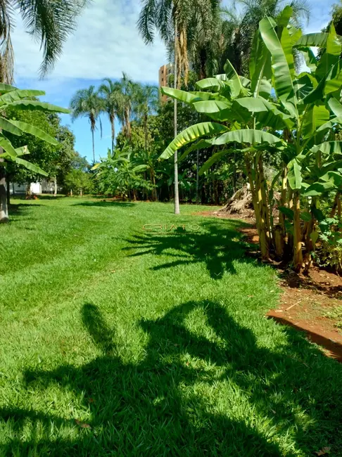 Foto 1 de Chácara com 3 quartos à venda, 4200m2 em Chácaras Americanas, Anapolis - GO