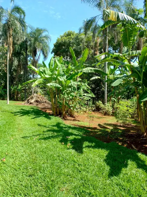 Foto 9 de Chácara com 3 quartos à venda, 4200m2 em Chácaras Americanas, Anapolis - GO