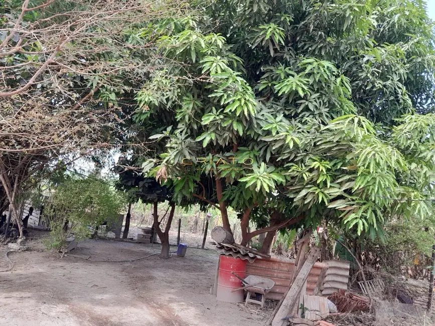 Foto 9 de Chácara com 3 quartos à venda, 150m2 em Gameleira De Goias - GO