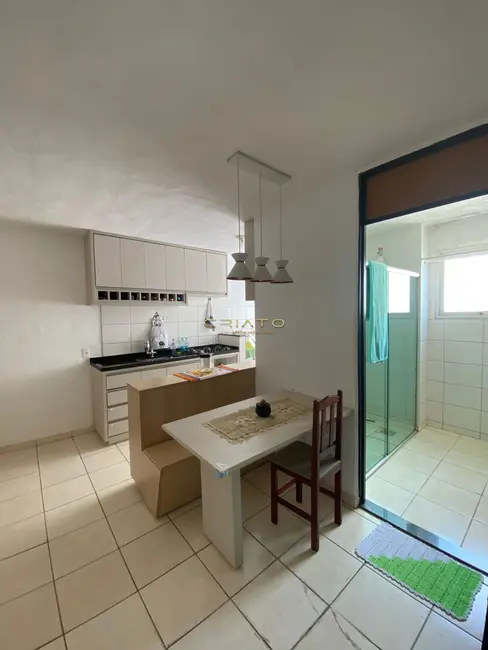 Foto 9 de Apartamento com 2 quartos à venda, 48m2 em Anapolis - GO